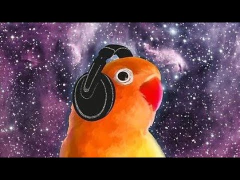 Oldies but Goldies #2 – Goodies Deep House, Nu Disco / DJ Zeynel Kablan