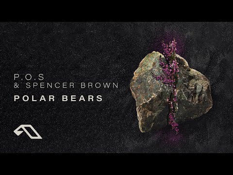 P.O.S & Spencer Brown – Polar Bears (@spencerbrownofficial)