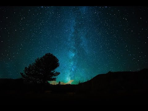 Phaxe & Morten Granau – The Collective