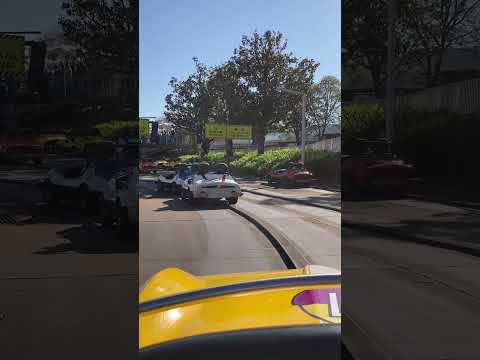 POV: The car in front of you on Tomorrowland Speedway keeps stopping to take selfies