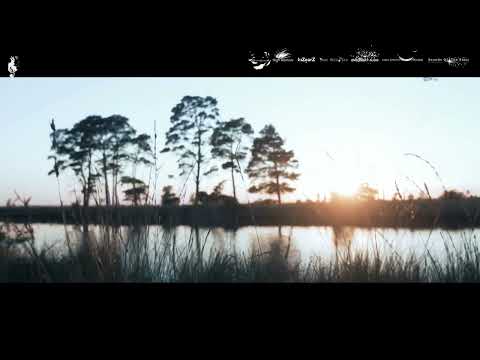 SouthDreamer – Remember (High Emotions Recordings) #classic #trance