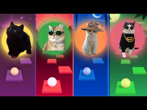 Tiles hop cute cats – Lady Gaga – Blacpink – Jisoo – Dance Monkey