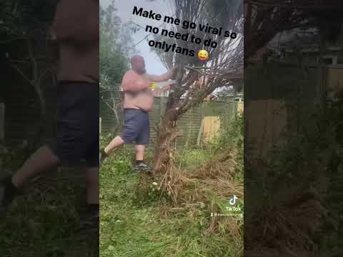 Tree cutting pussy cat dolls make me famous so no only fans lol funny video