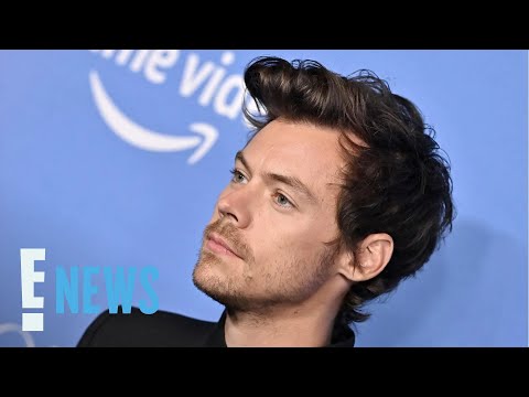 Why Harry Styles Turned Down Role in The Little Mermaid | E! News