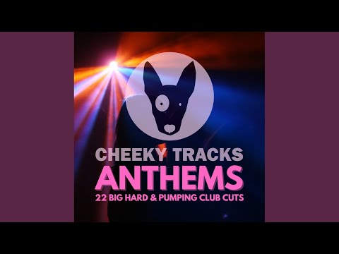 Wizards Of The Sonic (Radio Edit)