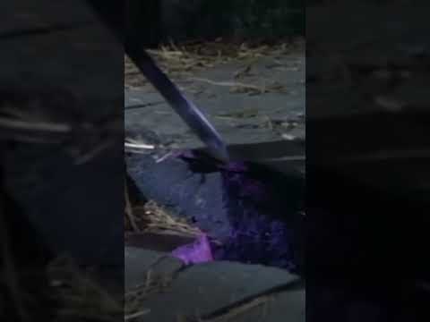 Lock mama in the basement the magic sword