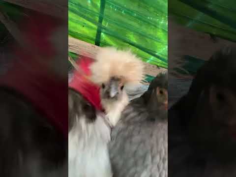 Where’s the party at? #short #tiktok #funny #shorts #edm #housemusic