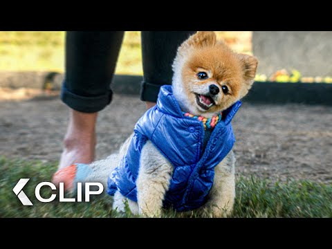 “Maggie got replaced by a Puppy” Scene – Strays (2023)
