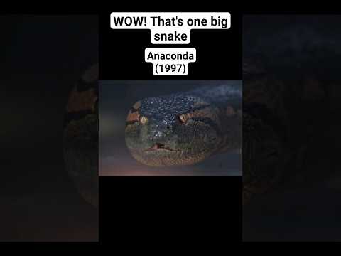 WOW that’s one big snake #owenwilson #icecube #shorts #snake #movie #short