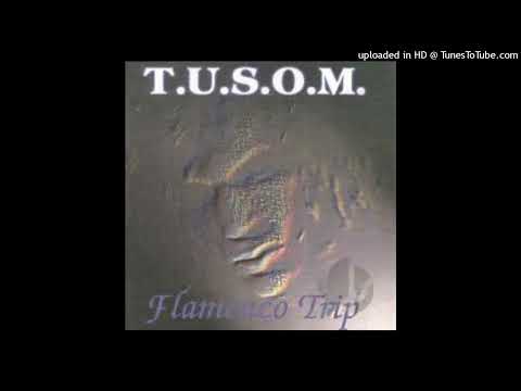 T.U.S.O.M. – Flamenco Trip (Original Version)