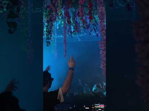 Gorje Hewek’s ‘Celestial’ in action 🔥 #Anjunadeep #Shorts