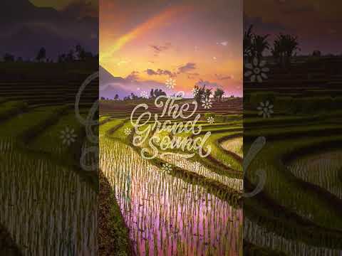 Mario De Caine – After The Sunset #shorts