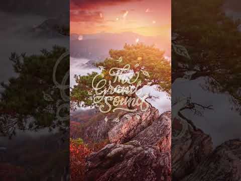 Terry Da Libra – Eventide #shorts