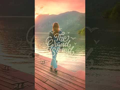 Lesh – Energised #shorts