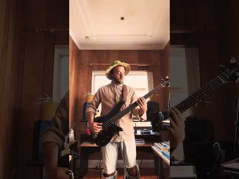 sunburnt daisies 🌼 #shorts #beats #playthrough #404
