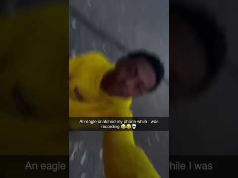 🦅 📱