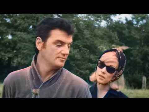 Dementia 13 | Francis Ford Coppola | Luana Anders | William Campbell | Colorized Movie | Subtitles