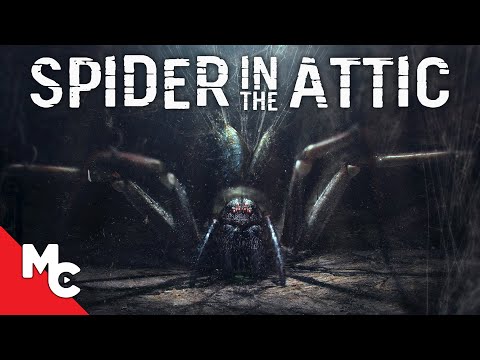 Spider In The Attic | Full Movie | Monster Horror | Happy Halloween