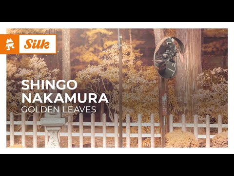 Shingo Nakamura – Golden Leaves [Monstercat Release]