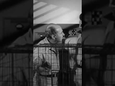 Atomic mutations 🎬 Monster from Green Hell #shorts #scififilms
