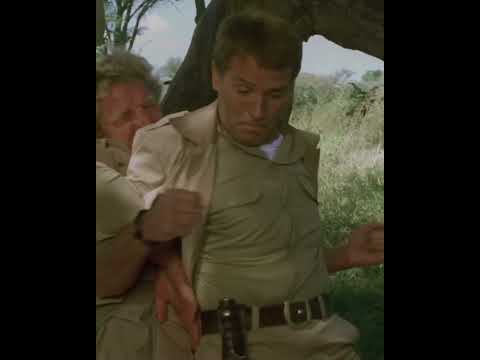 Safari Express (1976) #shorts