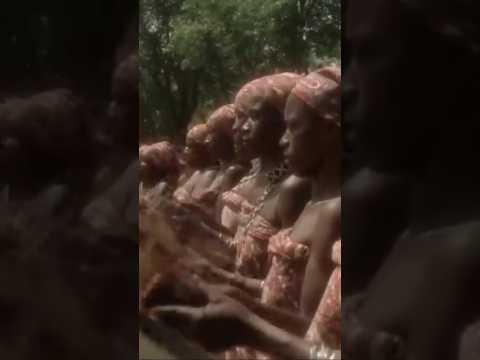 🌍 Tribal ceremony 🎬 Africa Express (1975) #shorts #africa #drums #tribute