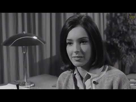 Amore mio aiutami 1964 (Alberto Sordi, Monica Vitti) Film completo italiano