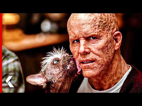 New DEADPOOL 3 Images Show Off Sidekick Dogpool! – KinoCheck News