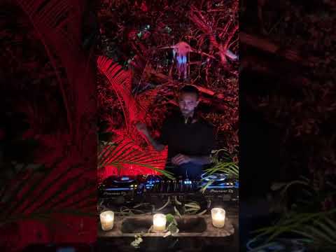 Jungle Party are the vibe #tulum #jungle