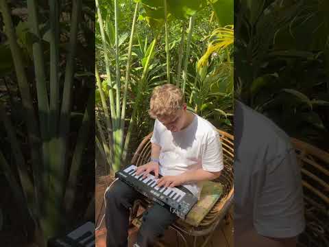 @NilsHoffmannMusic jamming in Goa to his new track ‘Holding Me Back’ ☀️ #Anjunadeep #Shorts