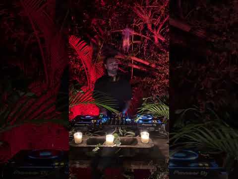 Jungle Parties have the best vibes #tulum #jungleparty #afrohouse