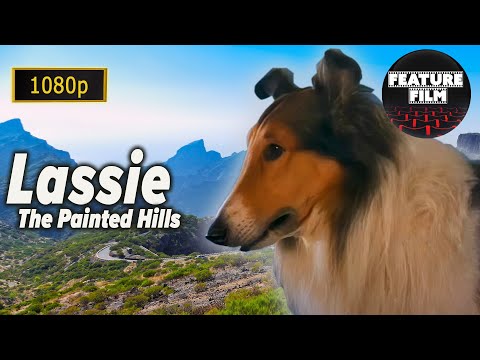 Lassie: The Painted Hills (1951) – Full Movie in 1080p HD | Heartwarming Family Classic