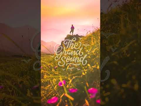 Angara & Gregory Esayan – Sun #shorts