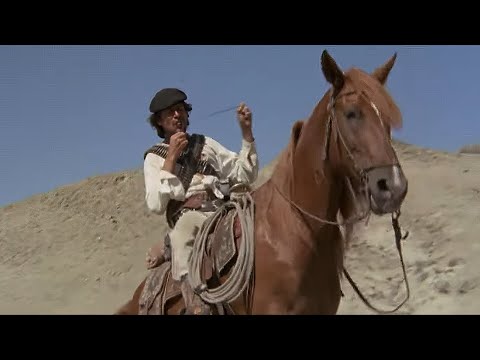 Compañeros (Western, 1970) Directed by Sergio Corbucci | Franco Nero, Tomas Milian | Movie