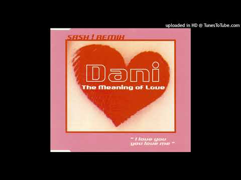 Dani – The Meaning Of Love (I Love You, You Love Me) (Sash! Remix)