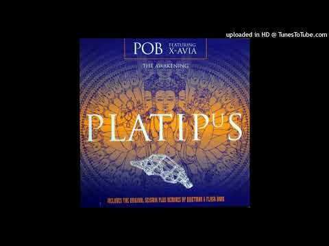 Pob feat. X-Avia – The Awakening (Flash Bang Remix)