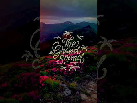 Sound Quelle & Norbert Koenner – Kislorod #shorts