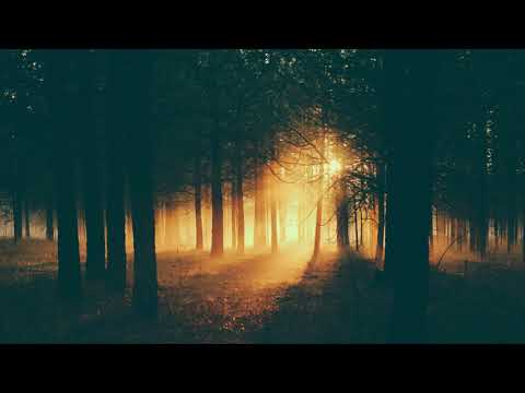 Armin van Buuren vs Inner City – It Could Be (Genix Extended Remix)