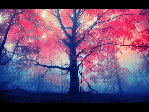 ♫ Euphoric • Melodic • Female • Vocal Trance ♫ 2016 – [Part 1]