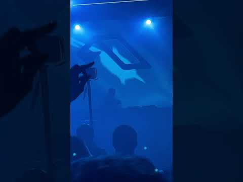 Genix – Effy & Mall Grab – iluv @anjunabeats Weekend Austin,Tx @TheConcourseProject 03 23 2024