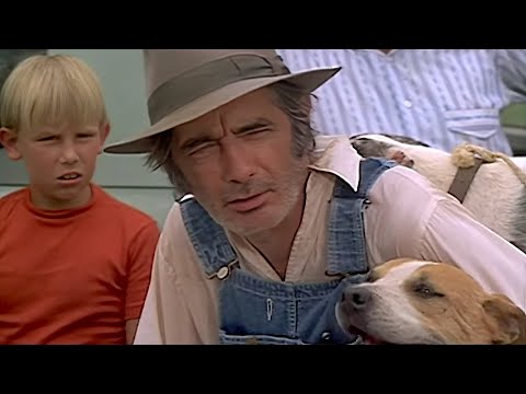 Moon of the Wolf 1972 (Horror, Thriller) David Janssen, Barbara Rush | Movie