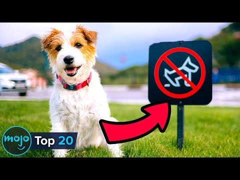 20 Illegal Things You’ve Done (at Least Once)