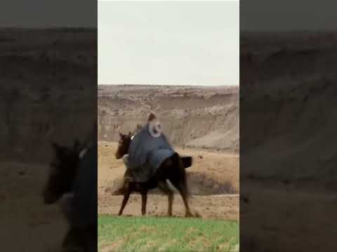⚽ Rolling like a ball 🎬 Django Defies Sartana (1070) #shorts #western #django