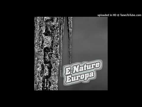 E-Nature – With Love (AP Remix)