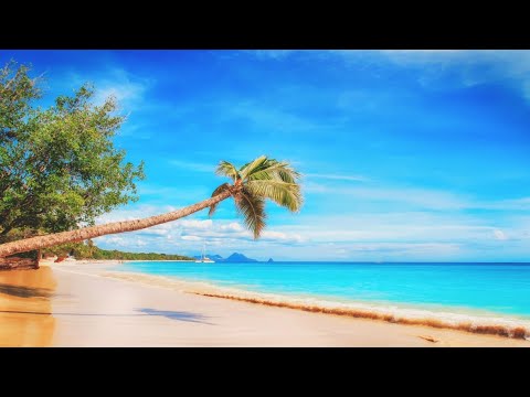 Peaceful music, relaxing music deep sleep music, relaxation genix.