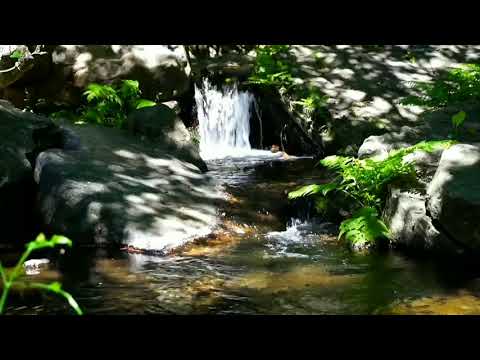 Relaxation, healing music, sleep meditation, calm,relaxation genix .
