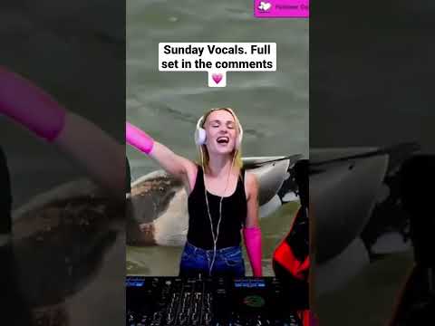 Sunday vocals #dj #trance #trancefamily #djeloise #edm #vocaltrance #trancemusic #techtrance