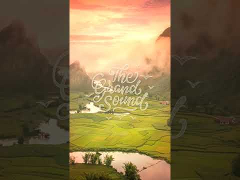 Mango x Cloudcage x Astroleaf – Come Home (Dub Mix) #shorts