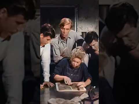😇 Not so innocent 🎬 Ma Barker’s Killer Brood #classicfilm #crime #drama #classics #colorized