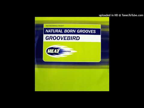 Natural Born Grooves – Groovebird (Baby Blue Remix)